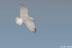 Pelagica-Chipiona-26-09-2021-RAW-491